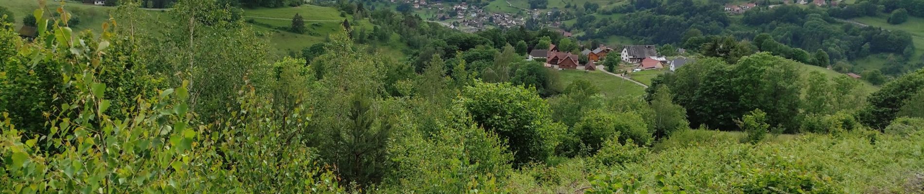 Randonnée Marche Hohrod - Hohrodberg  - Photo