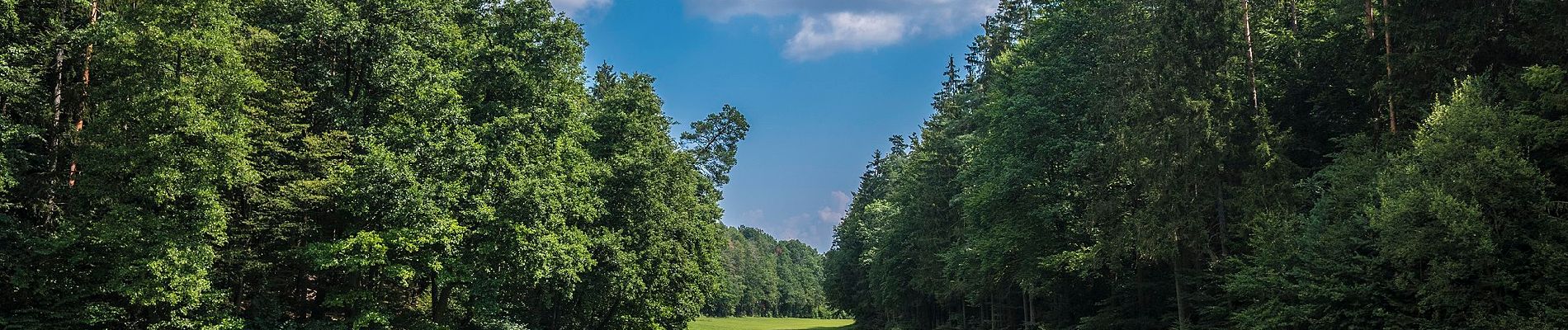 Tour Zu Fuß Lisberg - Hölderlinweg Lisberg L 5 - Photo