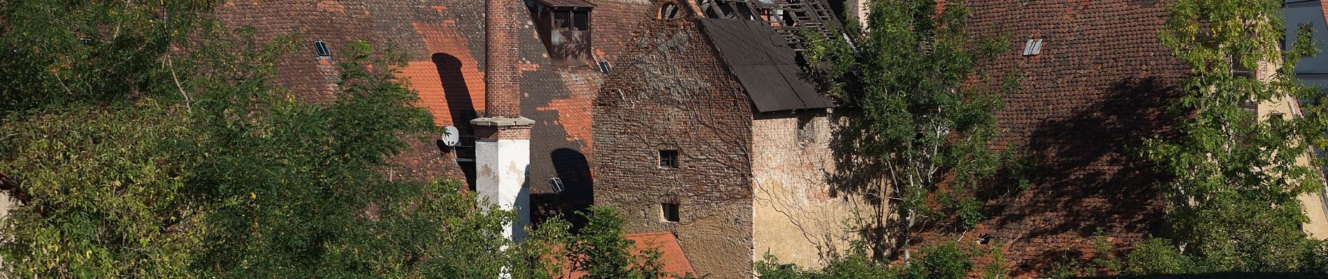 Randonnée A pied Buchdorf - Rundwanderweg Monheim 13 - Photo