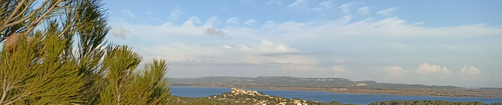 Excursión Senderismo Bages - De Bages à Les Pesquis - Photo