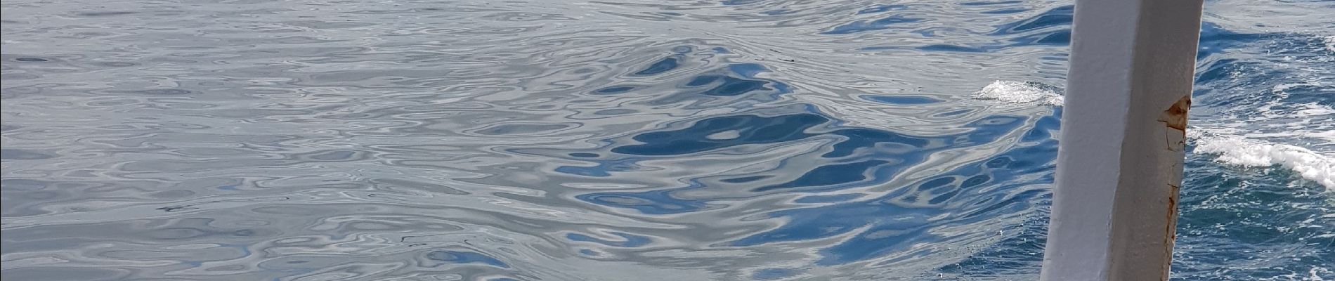 Trail Motorboat West Cork - 190702Fastnet - Photo