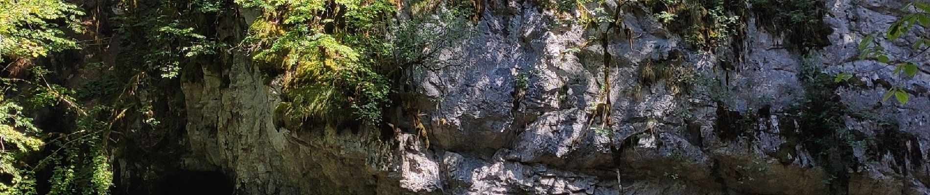 Point d'intérêt Saint-Claude - Cascades-des-Combes - Photo