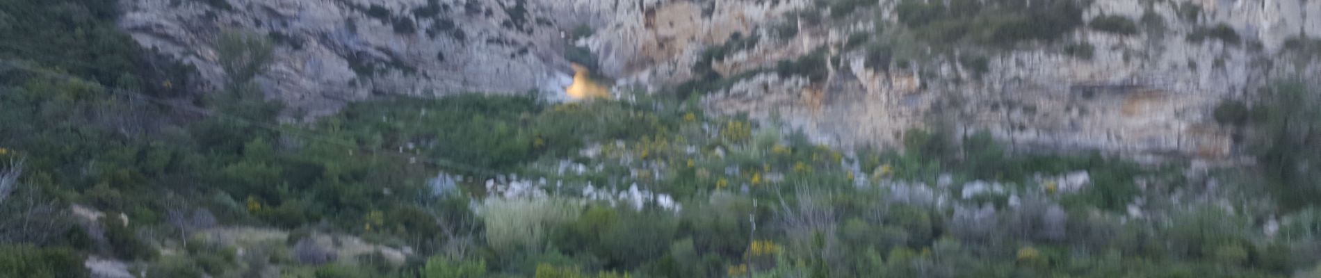 Tocht Ezelwandeling Tuchan - cathare 3 Tuchan Duilhac sous peyrepertuse  - Photo