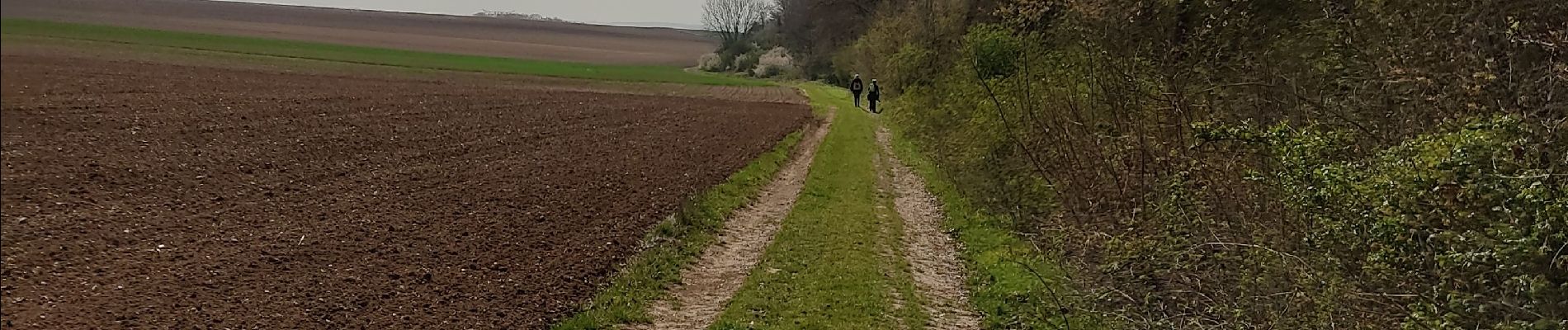 Excursión Senderismo Boran-sur-Oise - randonnée des 3comunnes boran  morangle crouy en thelle - Photo