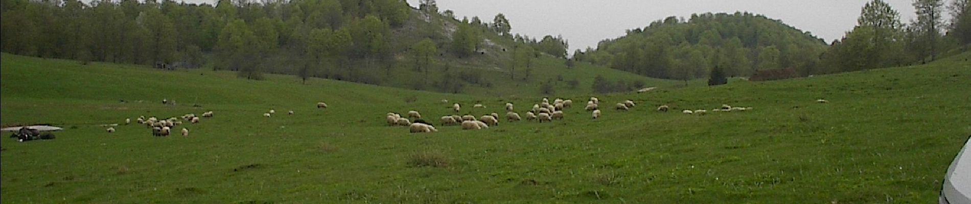 Percorso A piedi Unknown - Moneasa – cabana „Gaudeamus” – platoul Tinoasa – valea Meghieșului – Moneasa - Photo