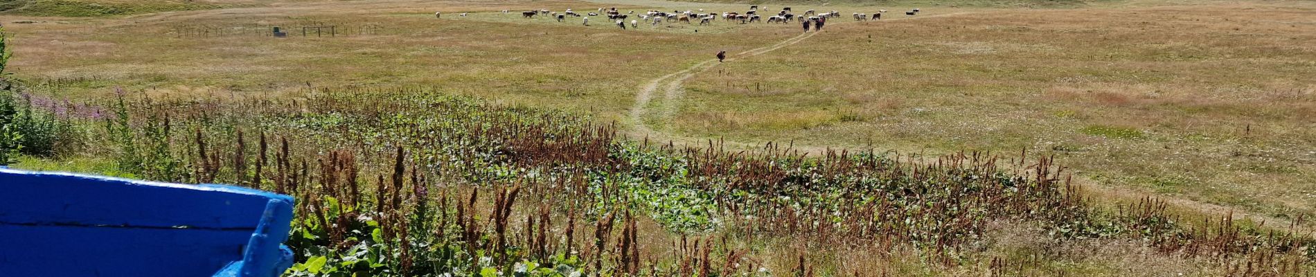 Tour Wandern Val-Cenis - Refuge du petit Mont-Cenis - Col de Bellecombe - Photo