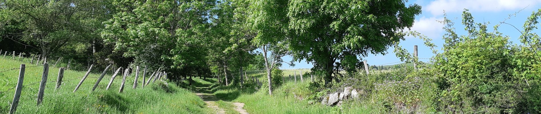 Tour Wandern Besse-et-Saint-Anastaise - BESSE - PAVIN - Photo