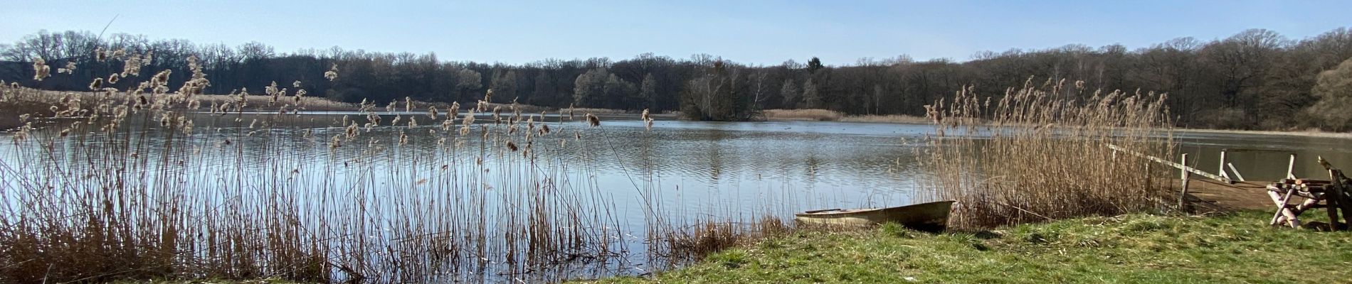 Randonnée Marche Peltre - Peltre étang fort de chesny - Photo
