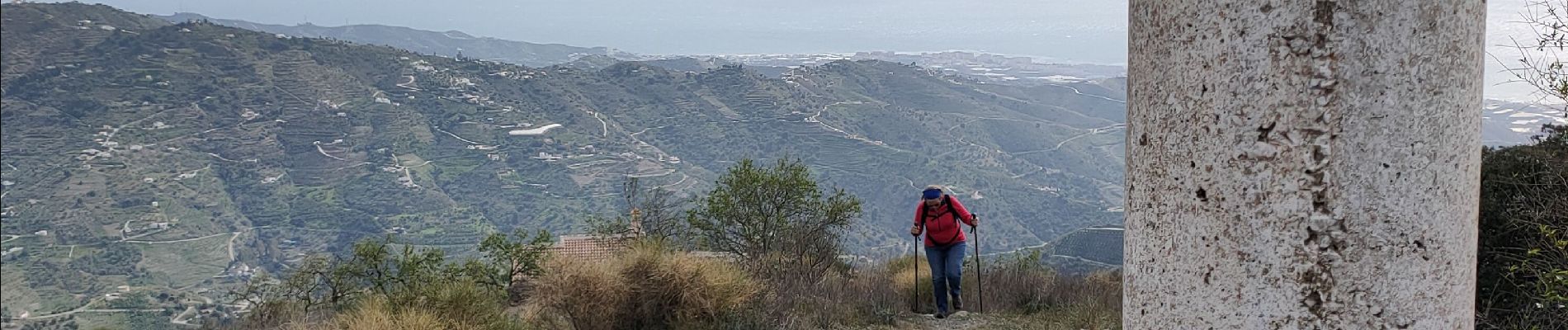 Tocht Stappen Sayalonga - Sayalonga  Pico de la Rabita - Photo