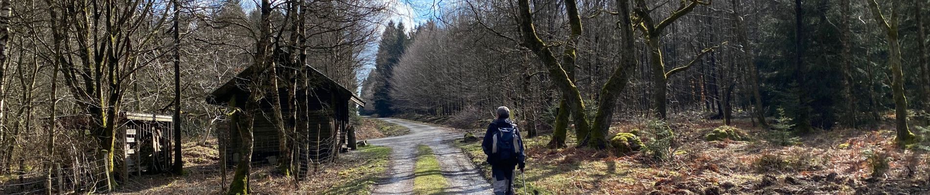 Randonnée Marche Eupen - Hautes Fagnes hohes Venn 20 km - Photo