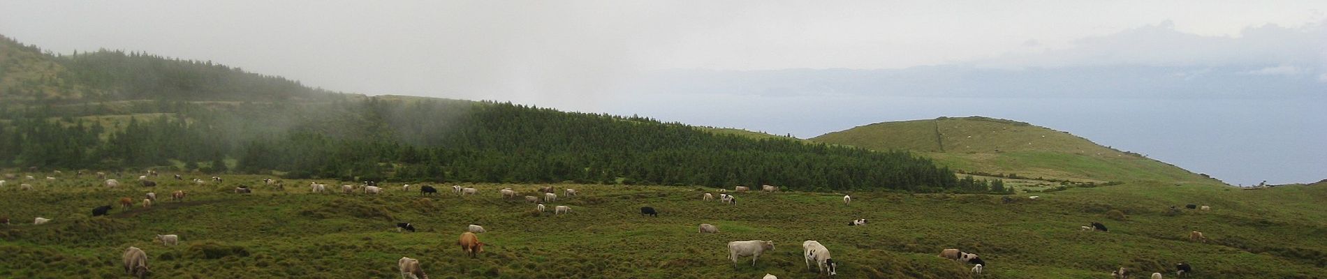 Tocht Te voet Prainha - Caminho dos Burros - Vertente Norte - Photo