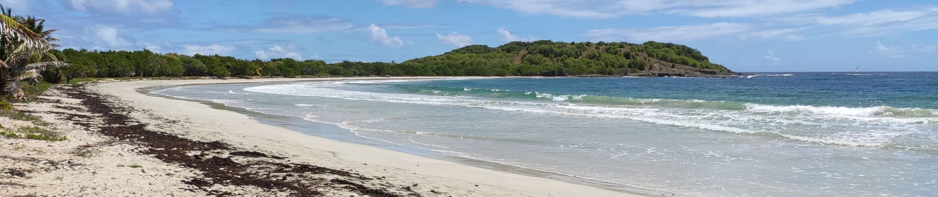 Percorso Marcia Sainte-Anne - salines-trabaud - Photo