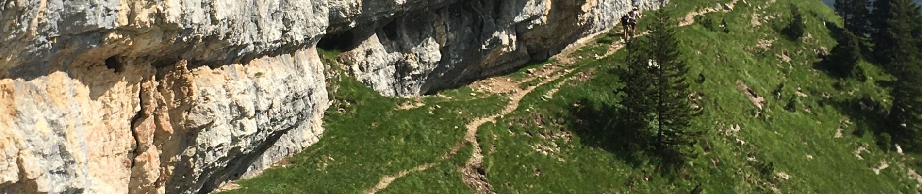 Excursión Senderismo Saint-Pierre-d'Entremont - rochers de Fouda Blanc et sommet du Pinet  - Photo