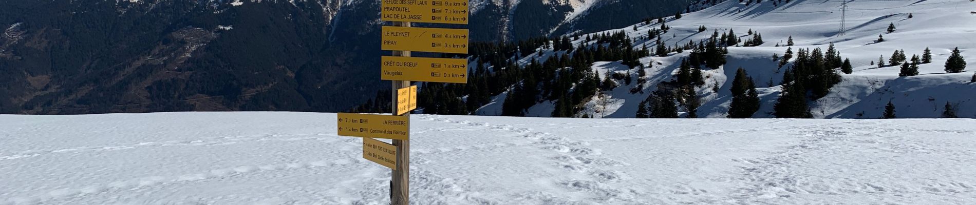 Tour Schneeschuhwandern Theys - Pipay Col du Merdatet - Photo