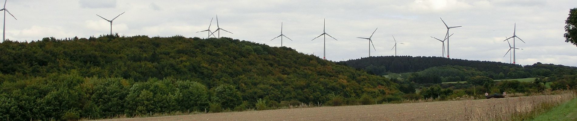 Tour Zu Fuß Paderborn - Mittelholz - Photo