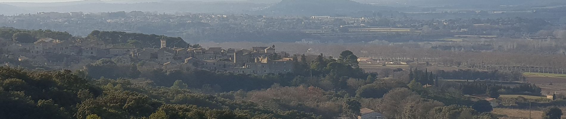 Tocht Stappen Saint-Siffret - garrigue st siffret - Photo