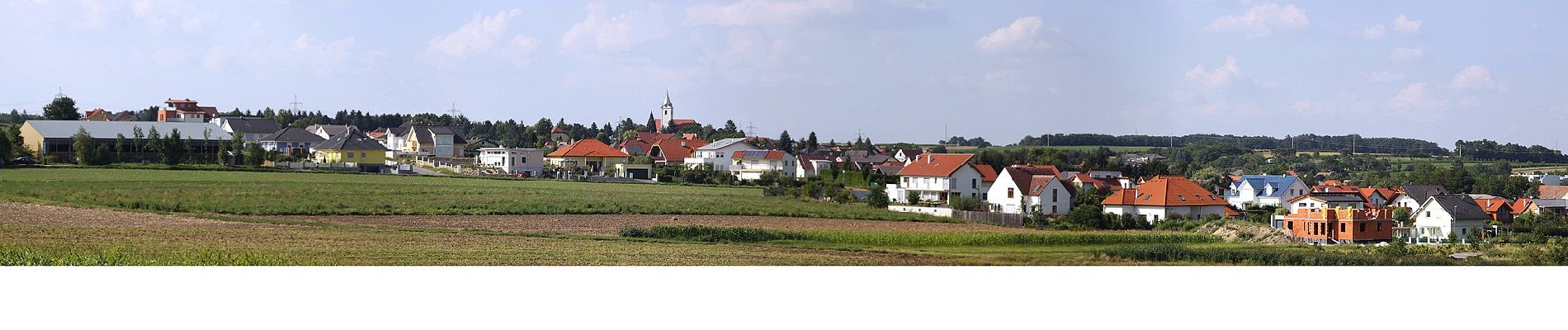 Tour Zu Fuß Klingenbach - Strecke 1 (Lauf- und Walkingstrecke Klingenbach) - Photo