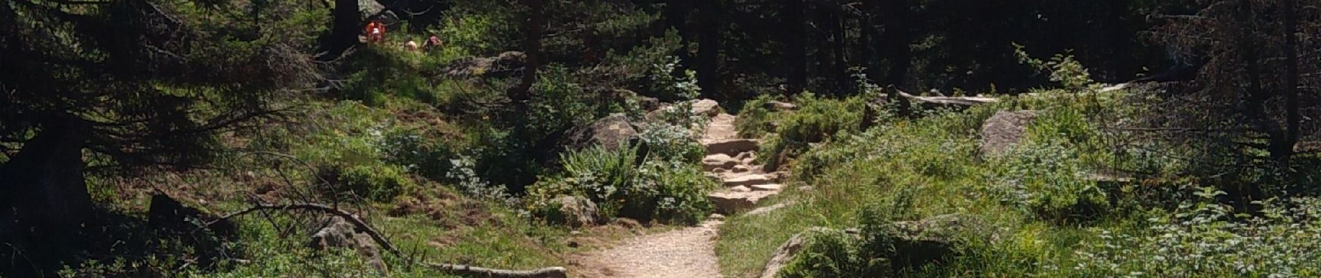 Trail Walking Cauterets - Lac de Gaube - Montée par GR10 - Photo