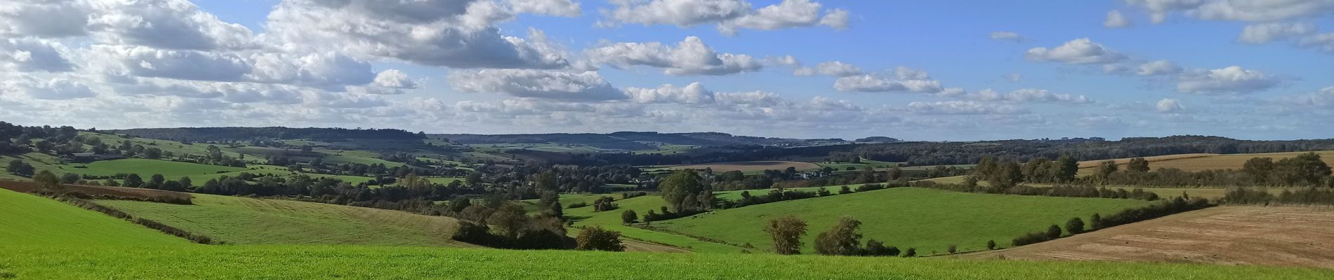 Trail Nordic walking Rouvroy - Couvreux - Photo