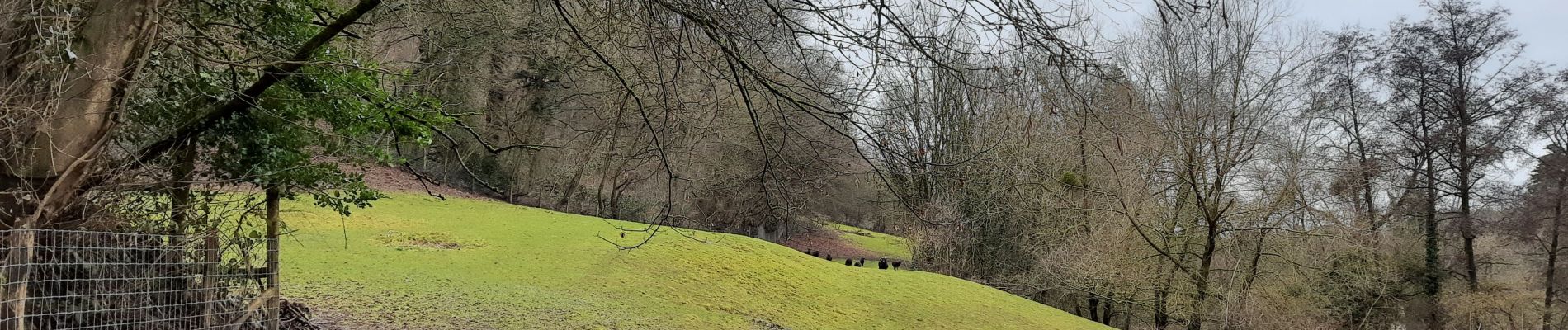 Randonnée Marche Engis - Hermalle-sous-Huy : boucle de la Gérée (longue) - Photo