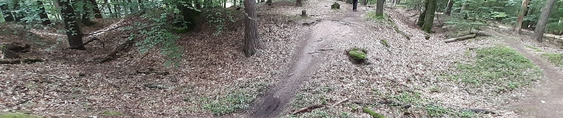 Tour Zu Fuß Alzenau - Freigerichter Bund Alzenau 3 - Photo