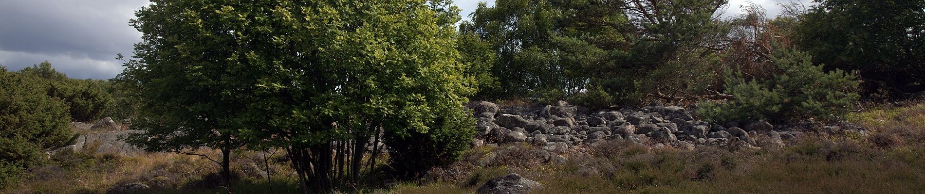 Percorso A piedi Sconosciuto - Gång-löpstig 5,2 km - Photo