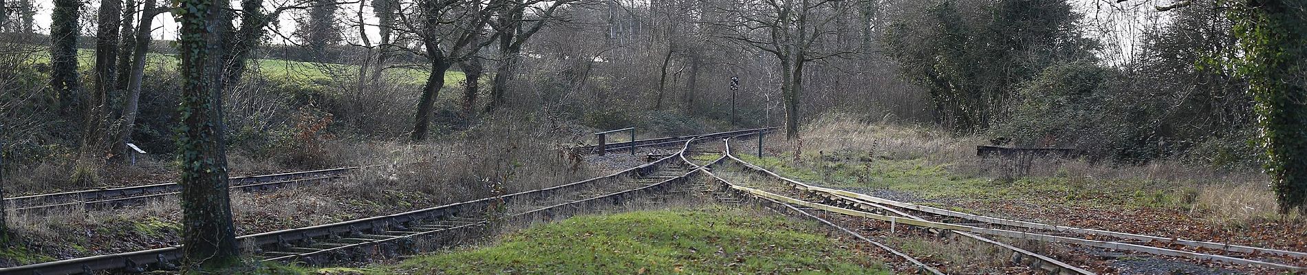 Percorso A piedi Médréac - Médréac - vallée du Néal - Photo