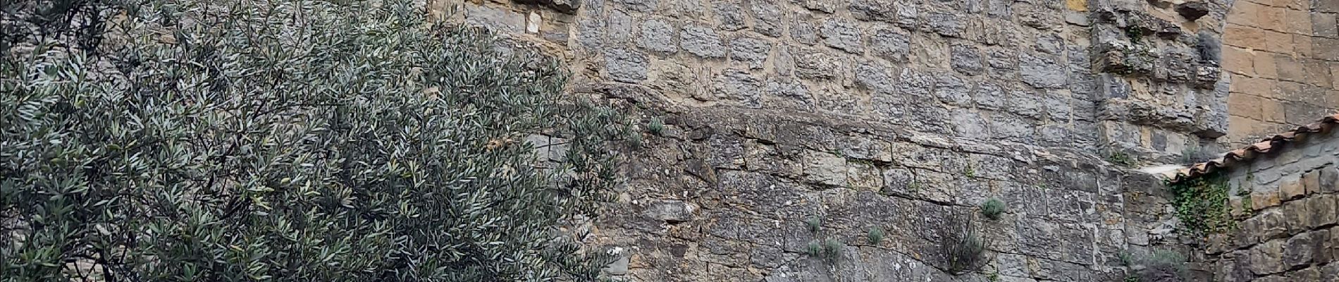 Randonnée Marche Cendras - Vallée du Galeizon et crétes de Moncalm - Photo