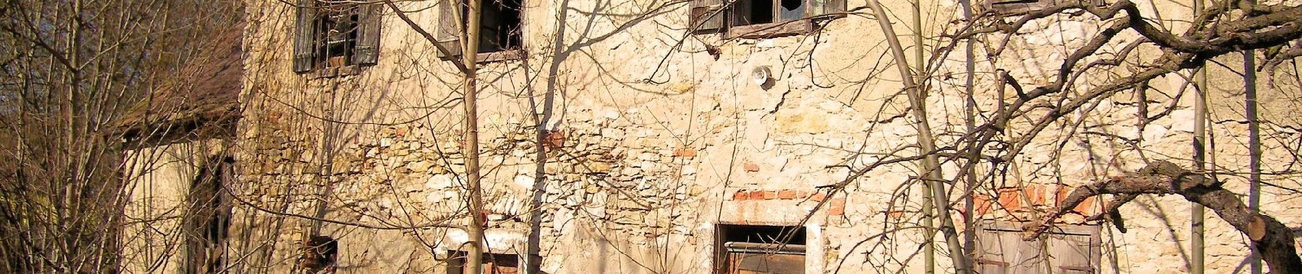 Percorso A piedi Maxhütte-Haidhof - Sauforstrunde (Lila 9) - Photo