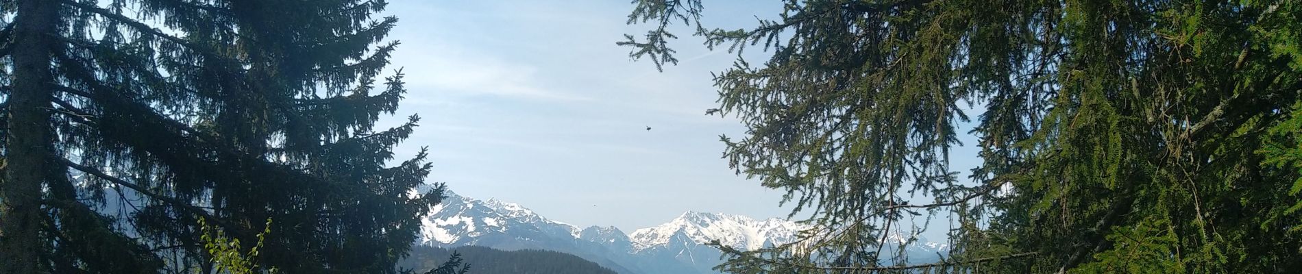 Tour Wandern Allevard - boucle le nid d'aigle, la maison forestière  - Photo