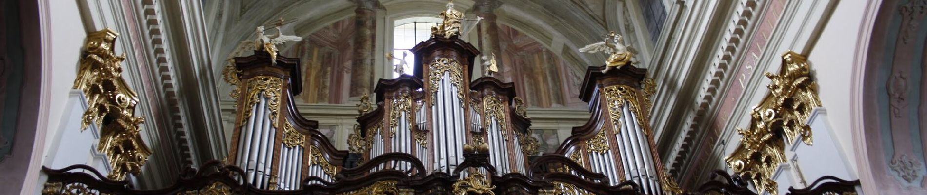 Excursión A pie okres Senica - Náučný chodník Gazárka – Lásek - Photo