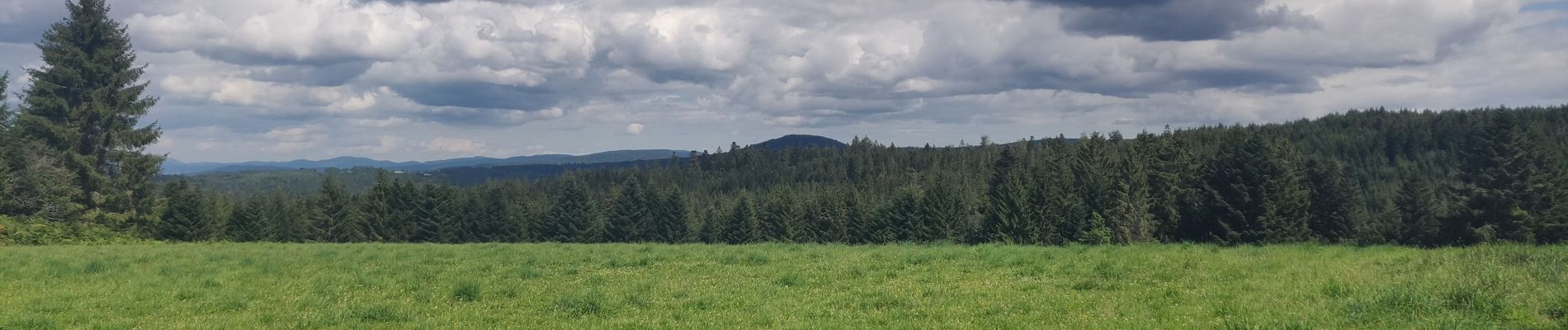 Tour Elektrofahrrad Granges-Aumontzey - berchigranges-steniole - Photo