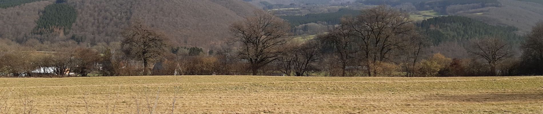 Randonnée Marche Érezée - mormont ac à ma façon  - Photo