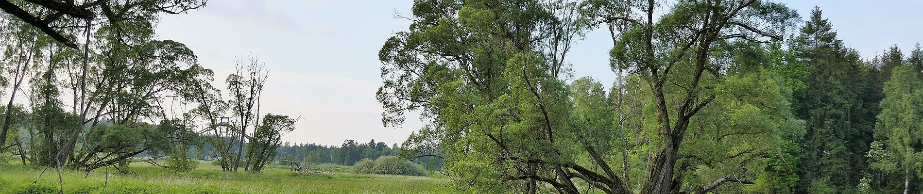 Tour Zu Fuß Tirschenreuth - Tirschenreuth Rundwanderweg Nr. 4 - Photo