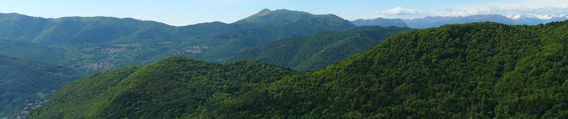 Tocht Te voet Canzo - Sentiero Naturalistico dello Spaccasassi - Photo