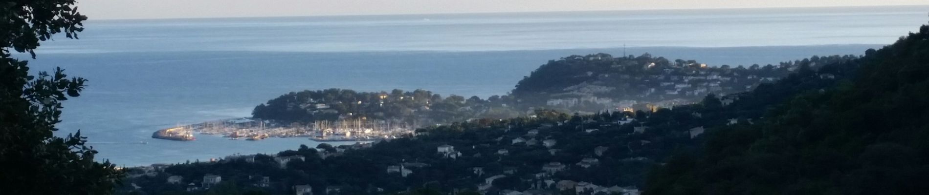 Tour Wandern Cavalaire-sur-Mer - les terrasses  - Photo