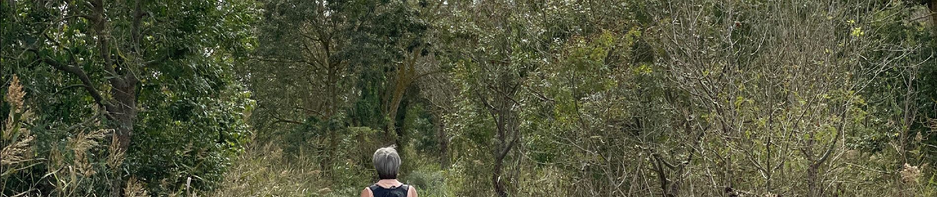 Randonnée Marche Sant Pere Pescador - El fluvio san père Pescador - Photo