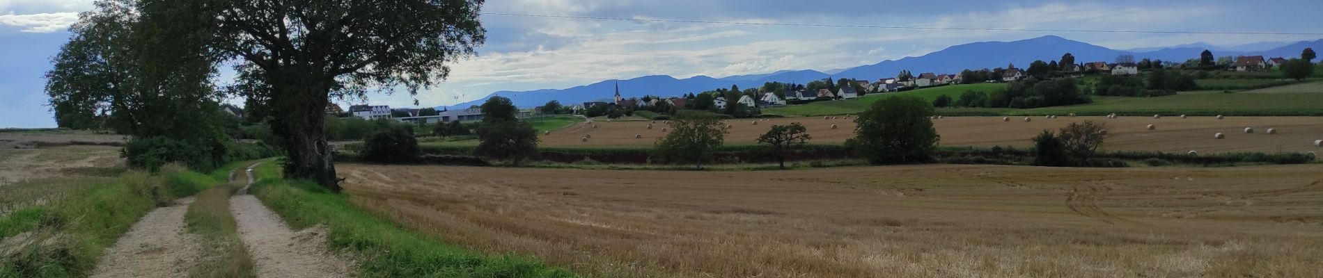 Percorso Marcia Heimsbrunn - Heimsbrunn Hochstatt - Photo