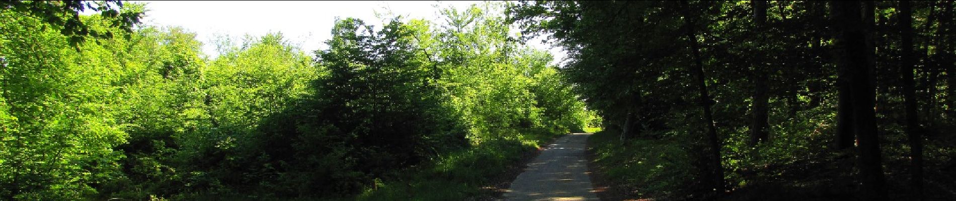 Point d'intérêt Trosly-Breuil - Point 22 - Photo