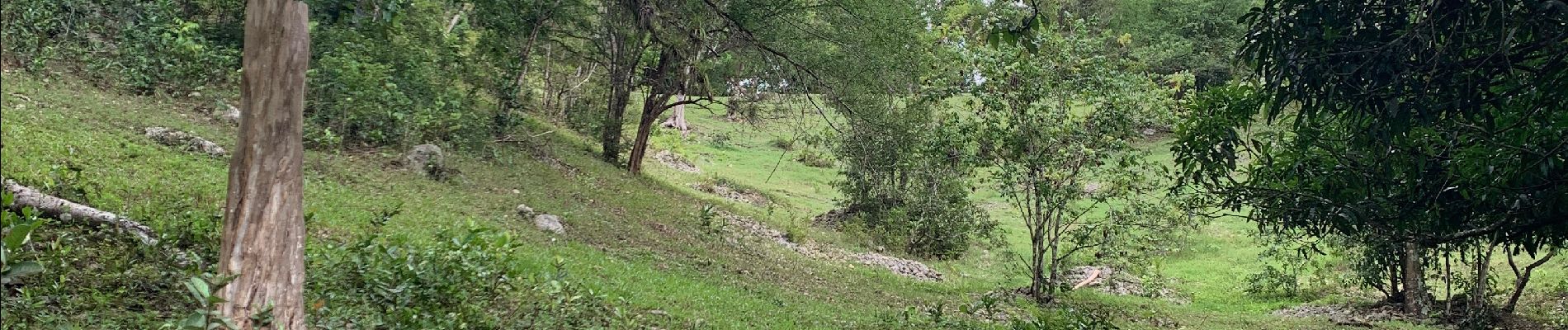 Tocht Trail Sainte-Anne - St Anne - Photo