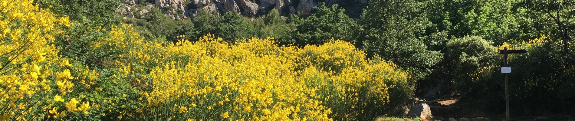 Tour Wandern Saint-Antonin-sur-Bayon - Croix de Provence par Pas du Berger - Photo