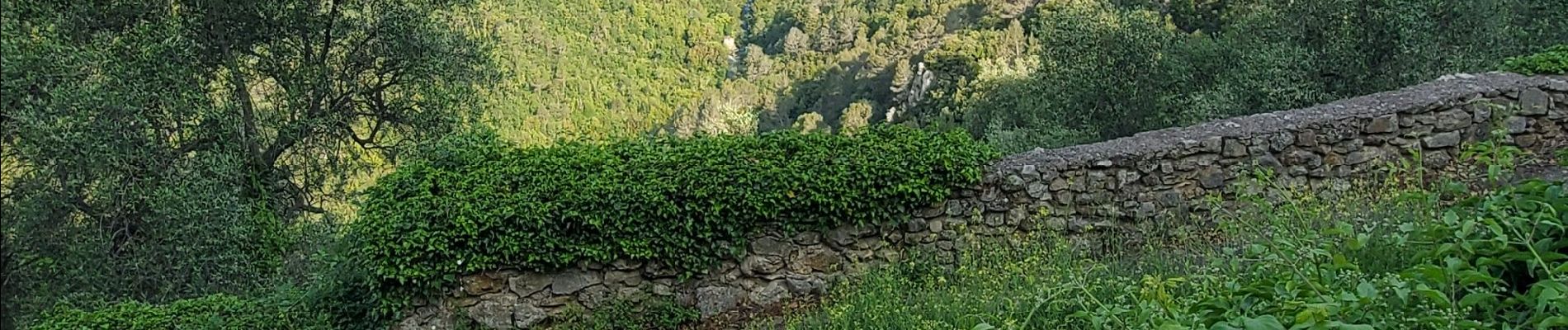 Tocht Stappen Saint-Cézaire-sur-Siagne - St cezaire - Photo