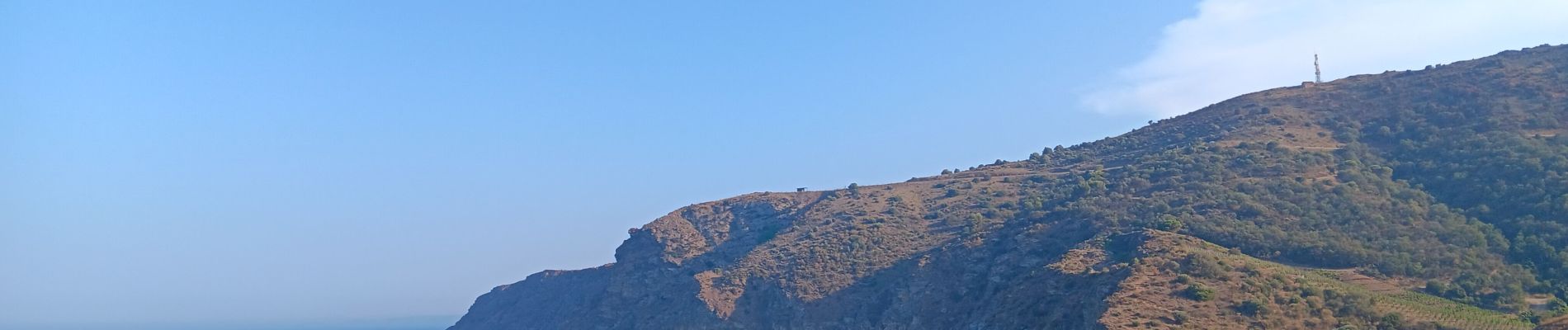 Randonnée Marche Banyuls-sur-Mer - cap del troc . coll de gran bau . cap réderis . retour par le chemin du littoral  - Photo