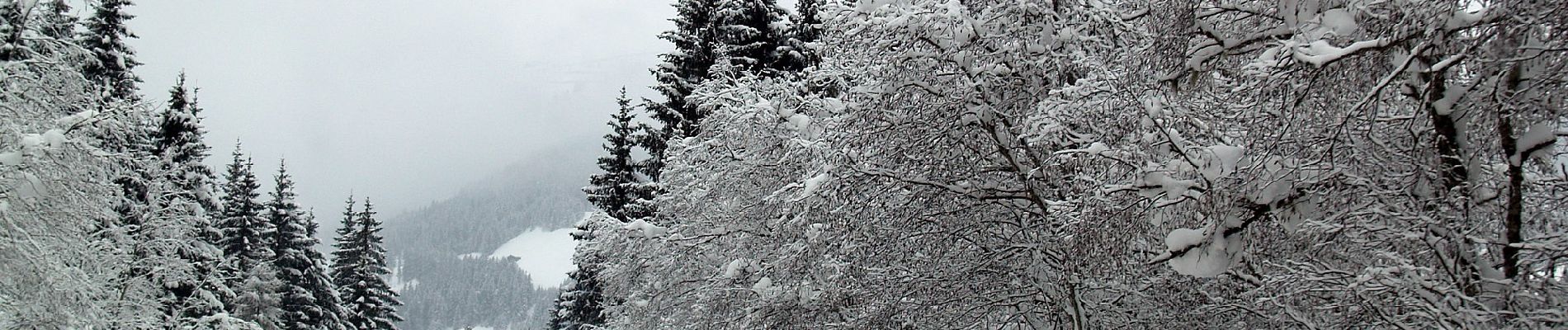 Tour Zu Fuß Gemeinde Gerlos - Innertal-Runde - Photo