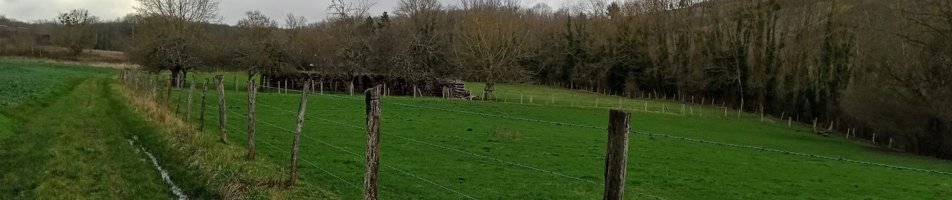 Excursión Senderismo Essômes-sur-Marne - Essomes sur Marne du 12/02/2024 - Photo