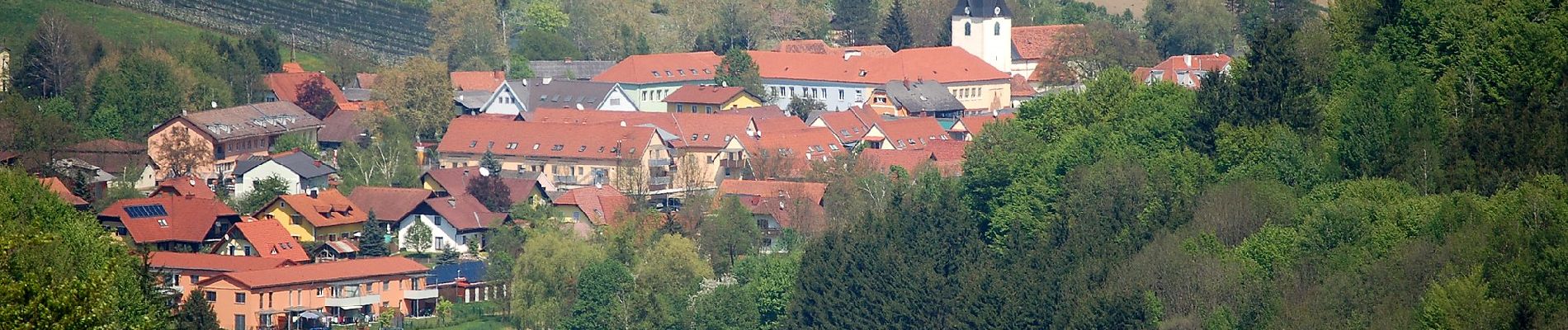 Tocht Te voet Gamlitz - Gamlitz-Gaberhöhe-Steinbach - Photo