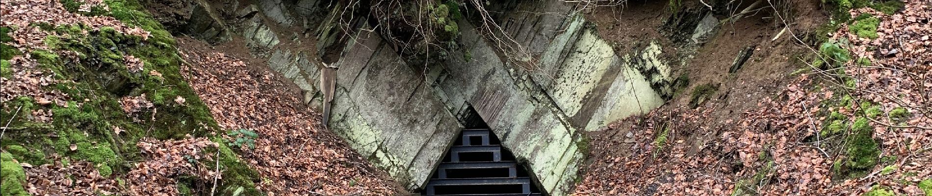 Excursión Senderismo Bouillon - Alle Langs Semois en terug door bos - Photo