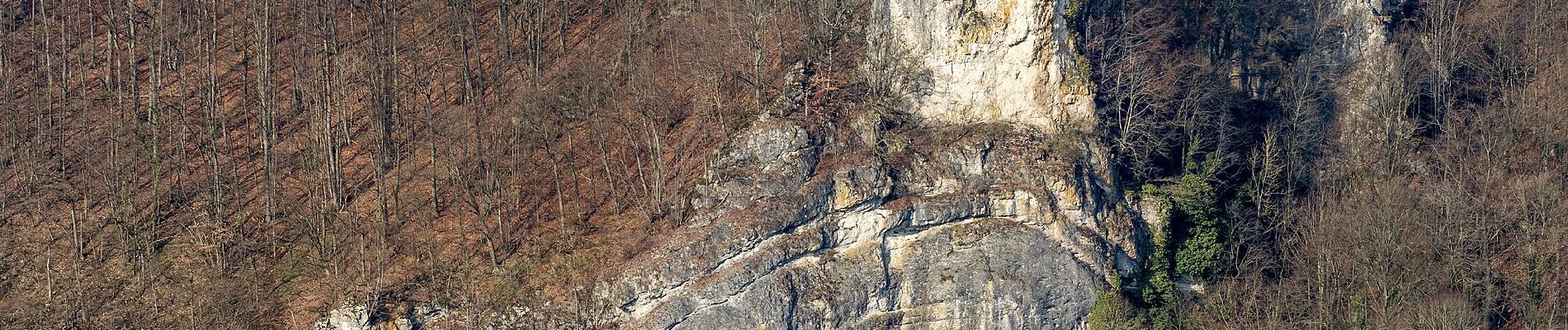 Randonnée A pied Wiesenttal - Rund um den Schwingbogen - Photo