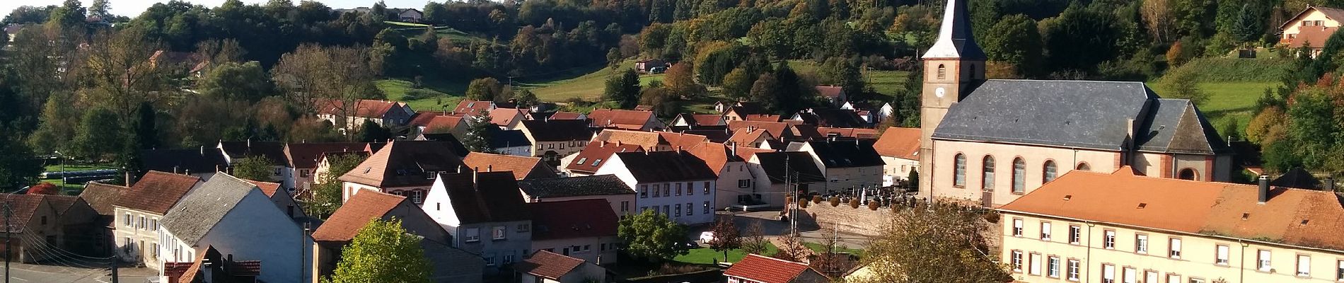 Tocht Te voet Walschbronn - Anneau bleu - Photo