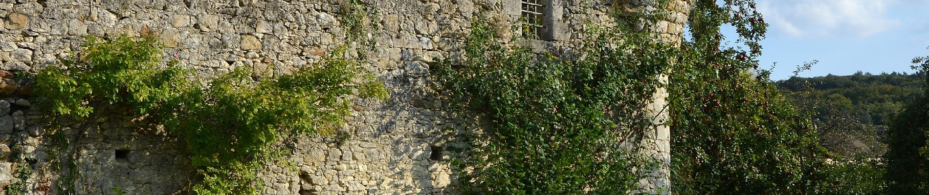 Tour Zu Fuß Villemer - Maquis de Roys - Photo